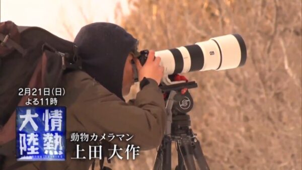 上田大作 動物カメラマンのプロフィール 経歴紹介 家族は 知って得する情報ブログ